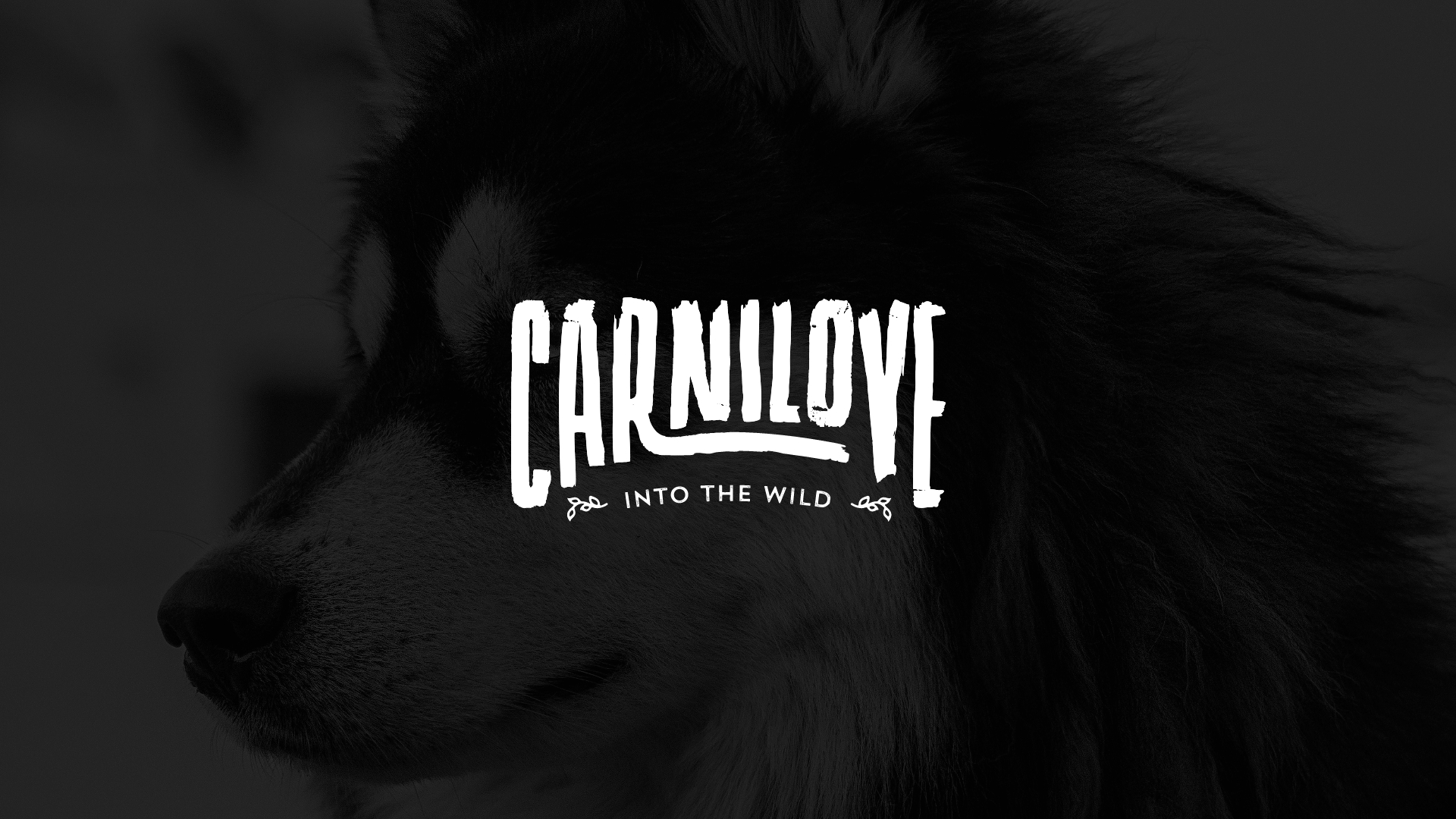 Logo Carnilove